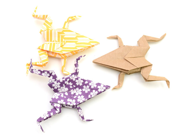 三折纸青蛙，五颜六色的青蛙图片下载