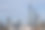 上海浦东陆家嘴天际线晴朗的一天。图片下载