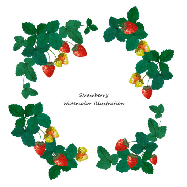 草莓的水彩插图图片下载
