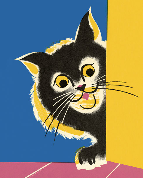 猫在拐角处张望图片下载