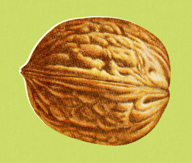 胡桃木素材图片