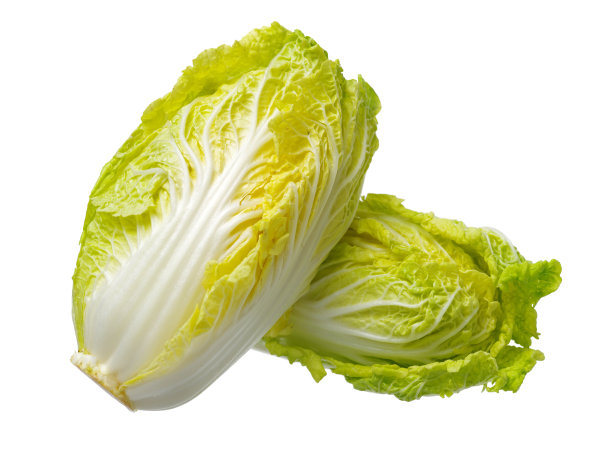 迷你天津小白菜“瓦瓦卡伊”图片下载