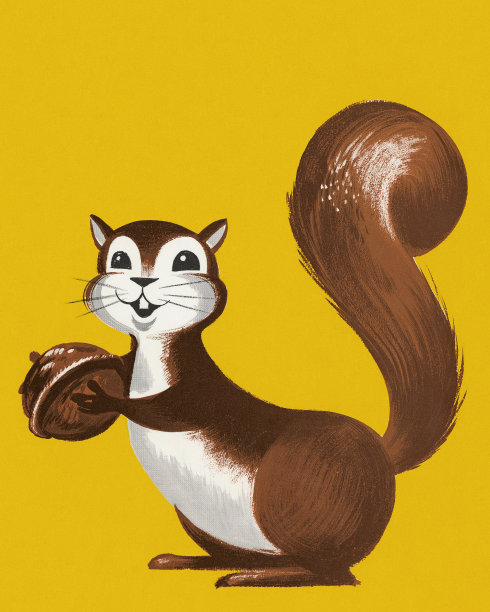 拿着坚果的松鼠素材图片