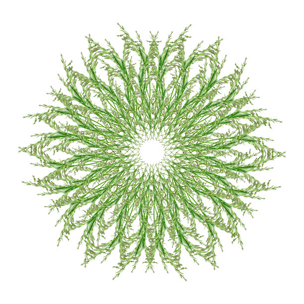 白色背景上的绿草和香草的圆形拼贴画。孤立。天然新鲜草本和草的概念。图片下载