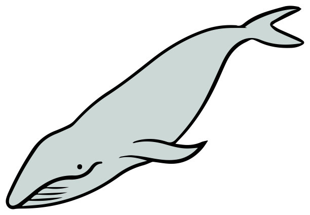 鲸鱼矢量图图片下载