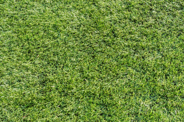 绿色合成草的背景。图片下载
