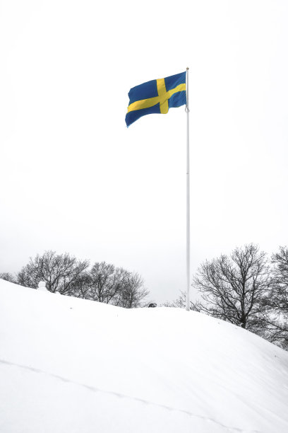 瑞典的国旗图片下载