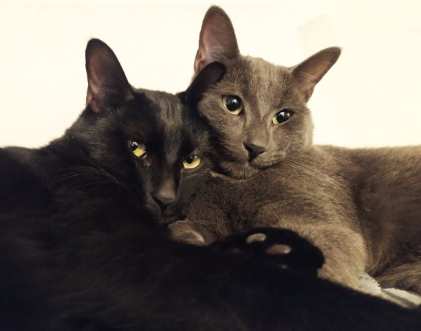 附近的睡眠图片下载