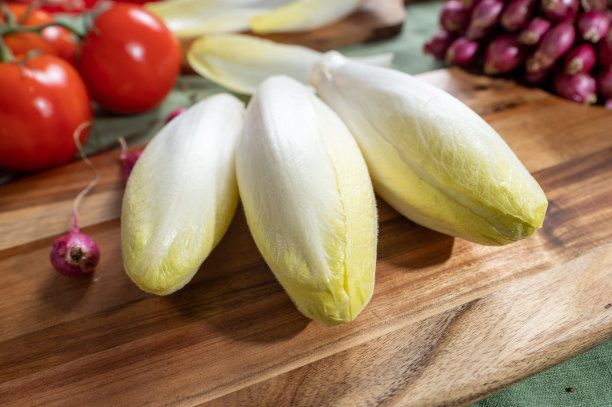 新鲜的比利时菊苣或菊苣苦味色拉，随时可以烹饪或食用图片下载