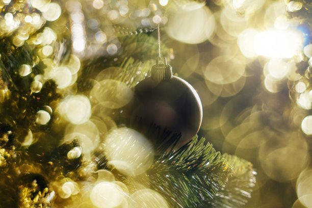 挂在树枝上的圣诞球。图片下载