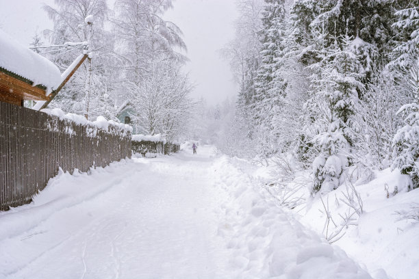 农村冬季景观。图片下载