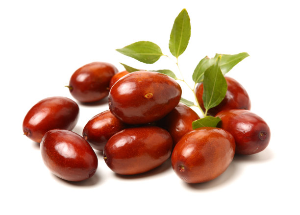 枣子或中国枣图片下载