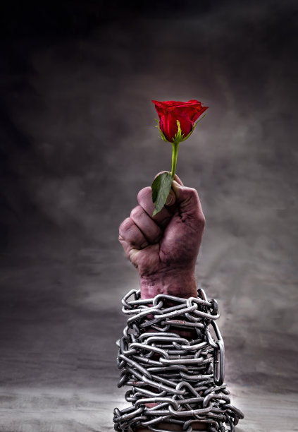 手握玫瑰图片下载