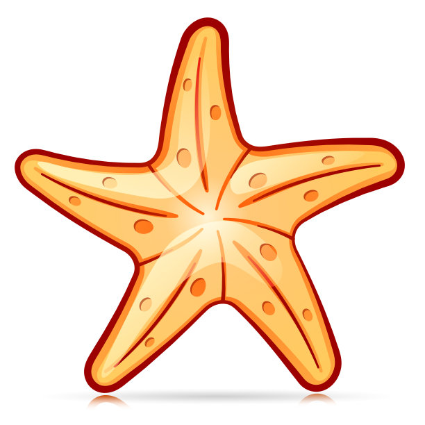 矢量装饰海星符号设计图片下载