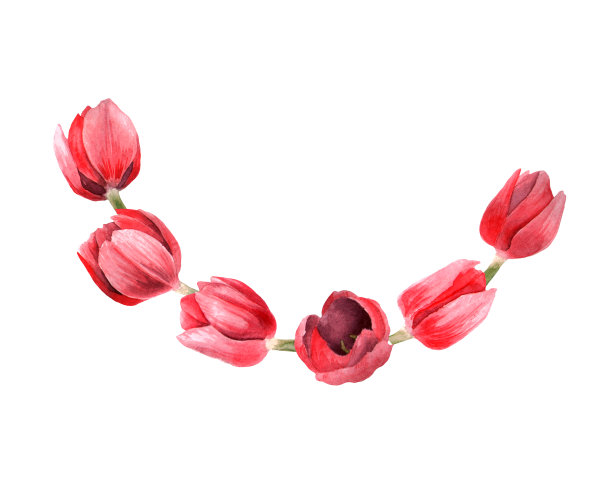 水彩郁金香花环图片下载