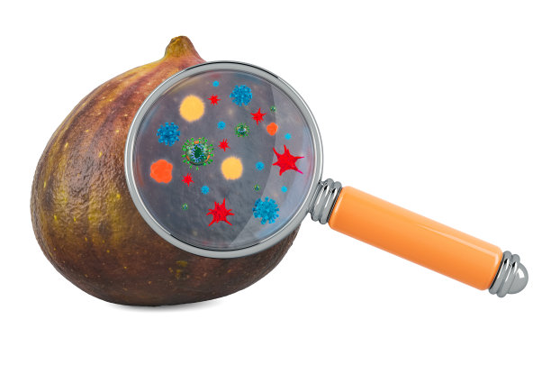 常见的无花果与细菌，微生物或病毒在放大镜下，3D渲染孤立的白色背景图片下载