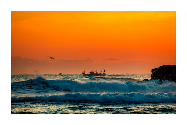 波浪 VD726图片下载