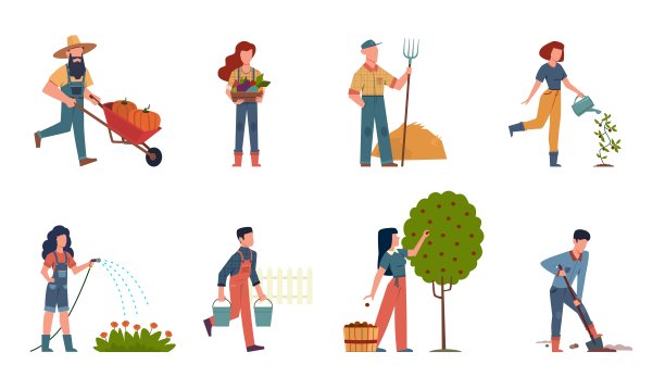 人们在花园。男女做农活收获、种植和浇水，使用园艺工具，有机产品向量集图片下载