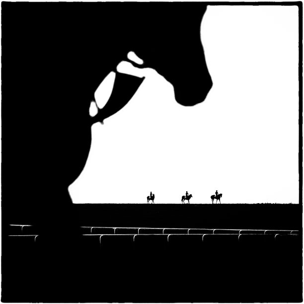 四匹马图片下载