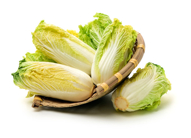 迷你天津小白菜“瓦瓦卡伊”图片下载