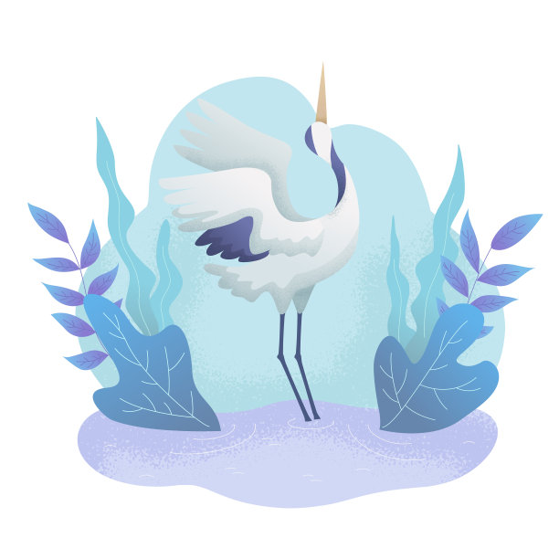 白鹤在植物丛中的湖中翩翩起舞。世界鸟类节。图片下载