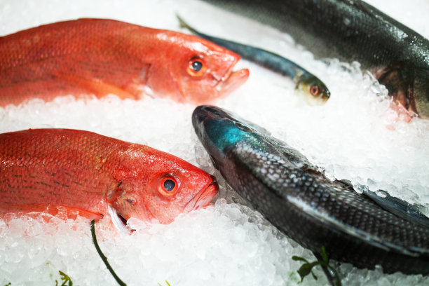 鲜鱼出售图片下载