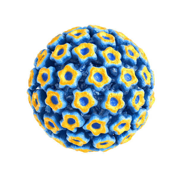 白色背景上的乳头状瘤病毒。三维演示图片下载