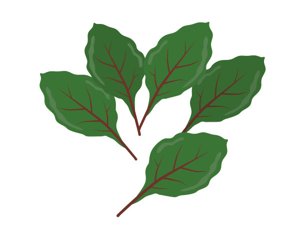 小叶子图片下载