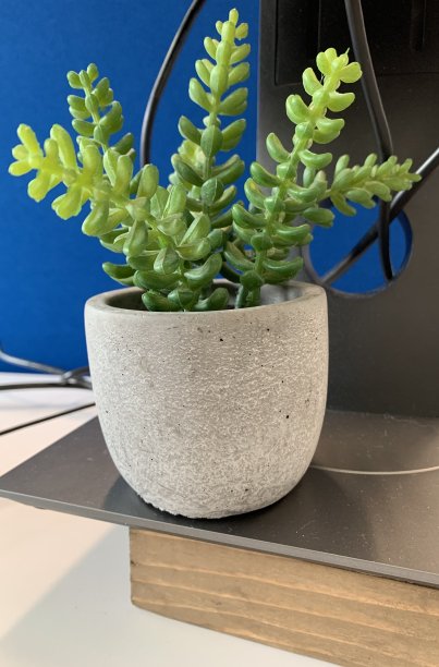 桌面装饰图片下载