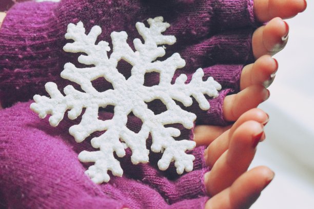 戴着紫色手套的双手捧着一片雪花图片下载