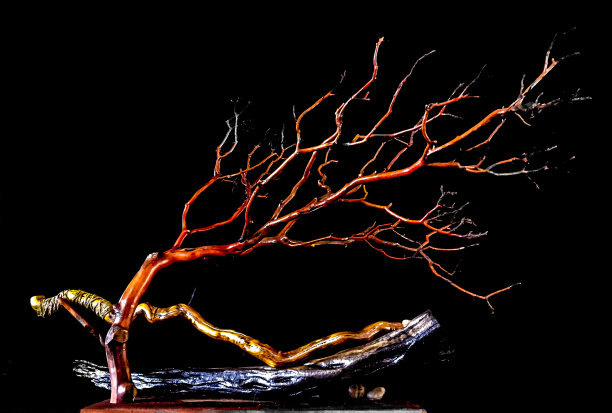 神秘的木图片下载