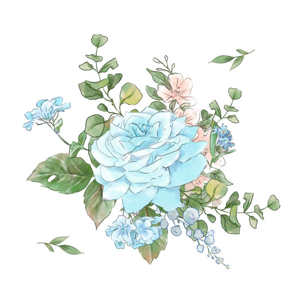 一大批娇嫩的玫瑰水彩画品质超群。图片下载