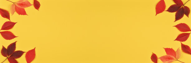 秋季或秋季横幅与复制空间。回到学校图片下载