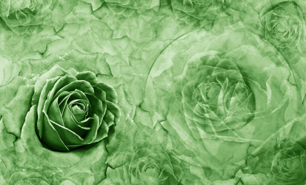 植物的绿色背景。鲜花和玫瑰花瓣。花组成。文本。贺卡。大自然。图片下载