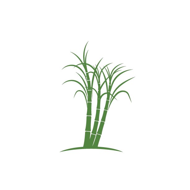 甘蔗种植图片下载