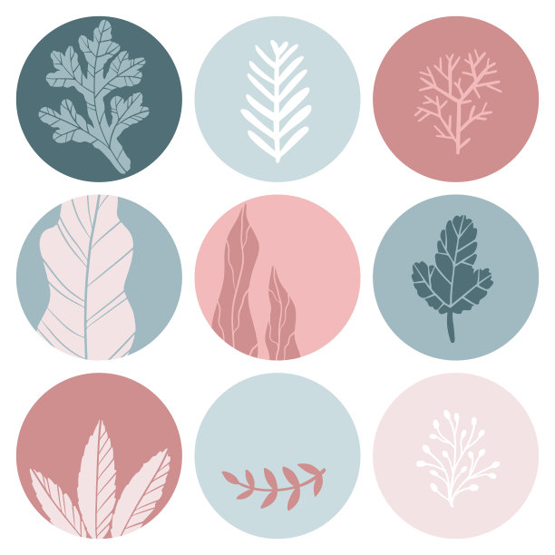 封面故事的重点。一套极简的圆形模板与花卉元素在一个柔和的调色板。孤立的矢量背景图像上的白色背景图片下载