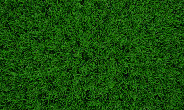 绿色草地纹理背景，绿色草坪，后院为背景，草地纹理，绿色草坪桌面图片，公园草坪纹理。3 d软件渲染。图片下载