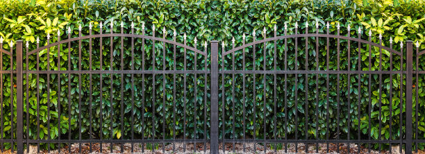 黑色铁栅栏图片下载