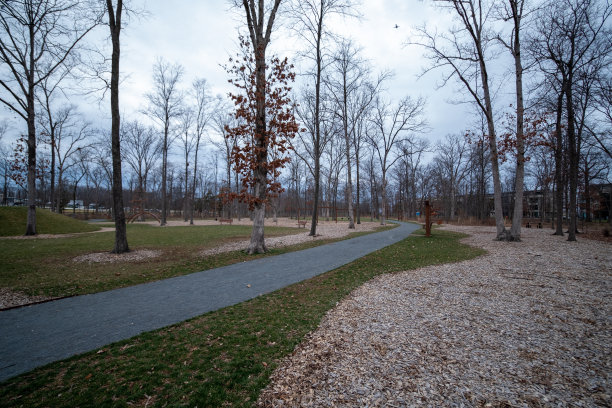 公园里的护根物和小路图片下载