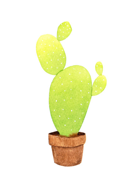 高质量的手绘水彩插图。您的设计元素与肉质植物，仙人掌和更多。适合您的项目，婚礼，贺卡，照片，博客，花环，图案和更多。图片下载