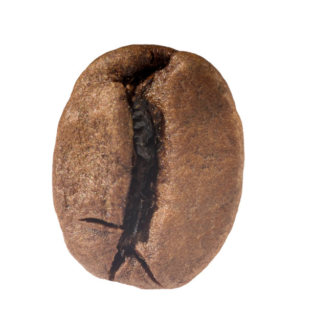 咖啡豆特写孤立在白色的背景图片下载