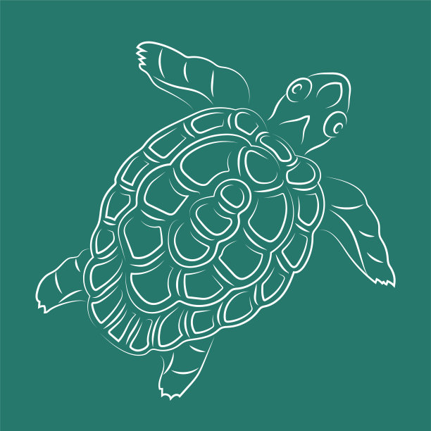 手绘线条艺术与白龟剪影图片下载