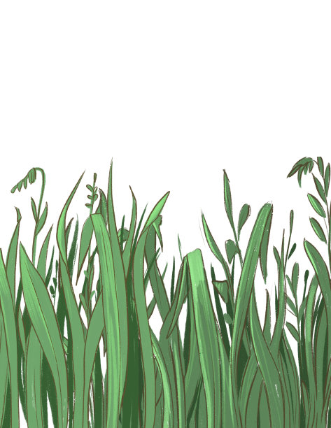 草地的插图。在白色背景上隔离图片下载