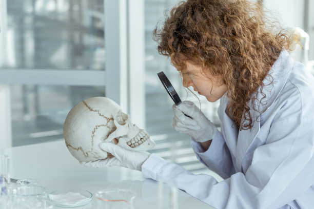 年轻女科学家在实验室检查人类头骨图片下载