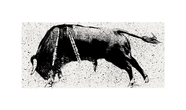 葡萄牙斗牛图片下载