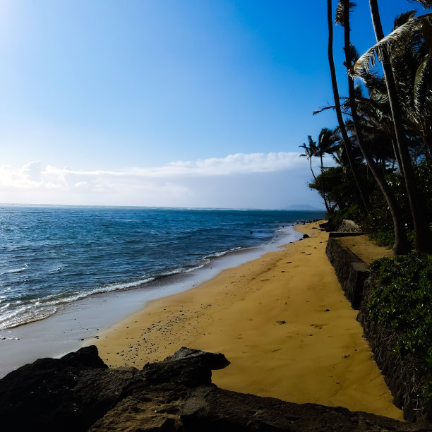 完美的图片下载
