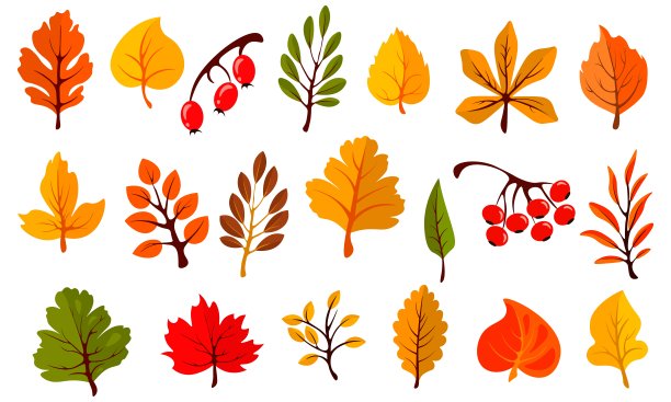 秋天五颜六色的树叶孤立在白色的背景上。卡通树叶收集在平坦的风格。矢量图图片下载