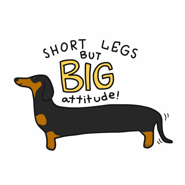 短腿但态度大的腊肠狗卡通矢量插画图片下载