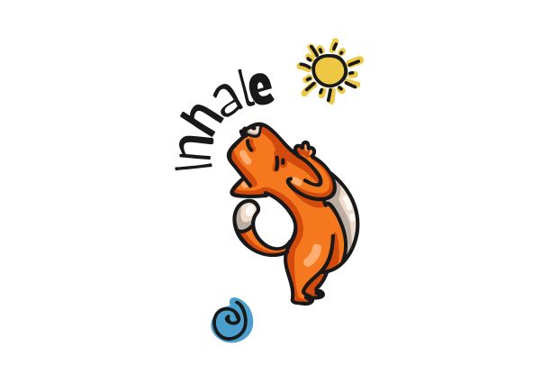 可爱的卡通猫在做瑜伽。图片下载