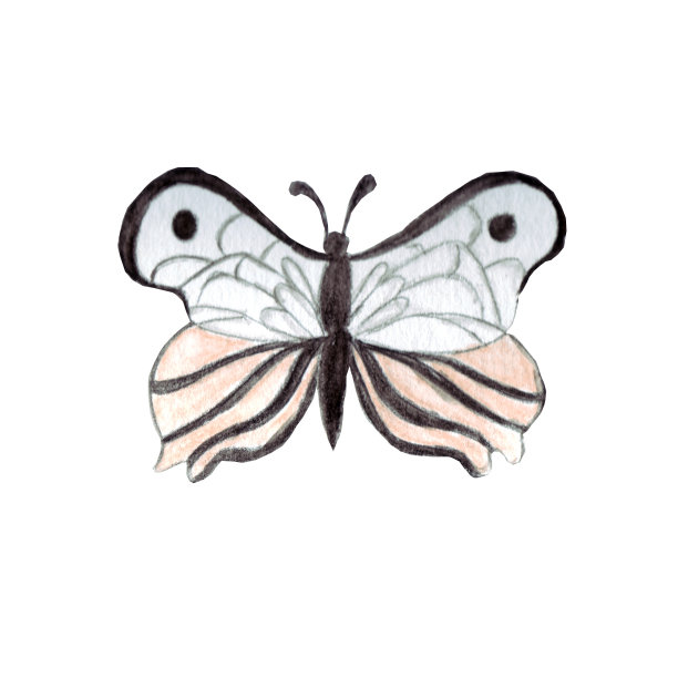 一只小小的神秘蝴蝶——象征着觉醒、春天、爱情。图片下载